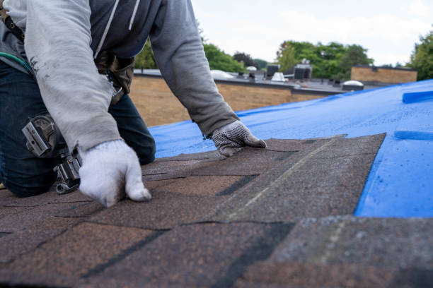 Best Storm Damage Roof Repair  in Byesville, OH